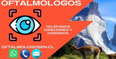 Oftalmólogo en Punta Arenas